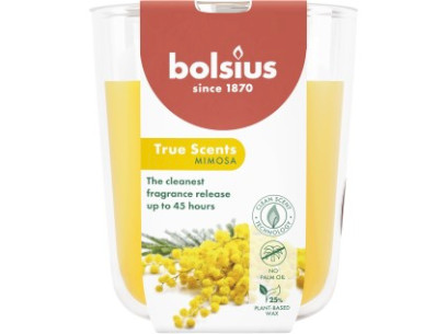 45247-45247 101924940356